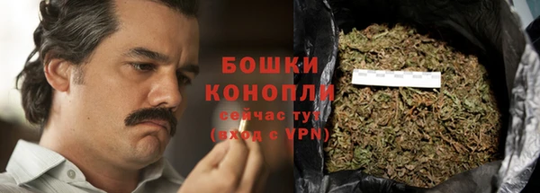 хмурый Няндома