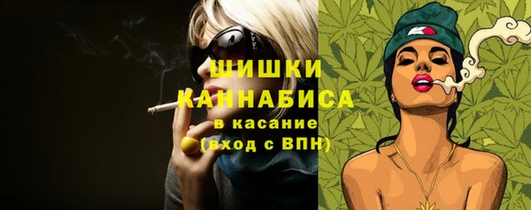 прущие грибы Новодвинск