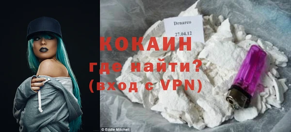 прущие грибы Новодвинск