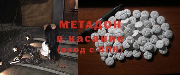 прущие грибы Новодвинск