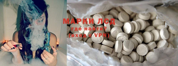 прущие грибы Новодвинск