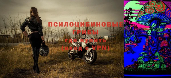 хмурый Няндома