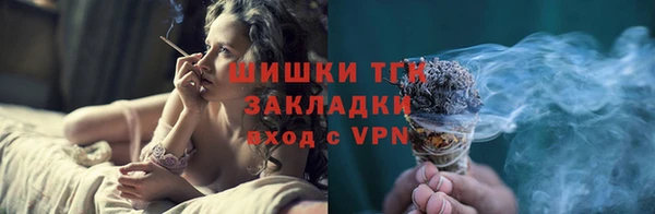 хмурый Няндома