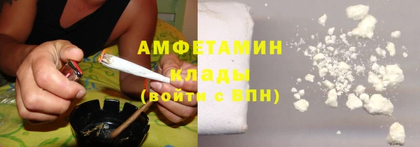 прущие грибы Новодвинск