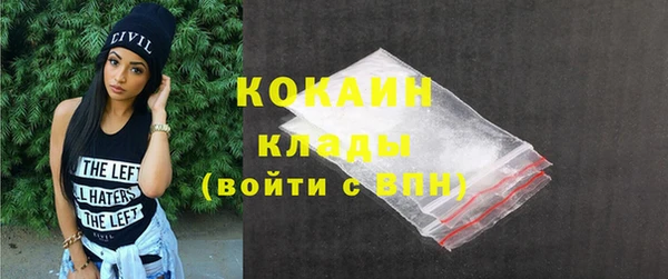 прущие грибы Новодвинск