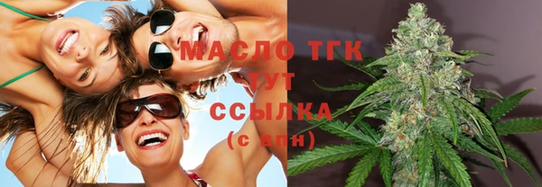 прущие грибы Новодвинск