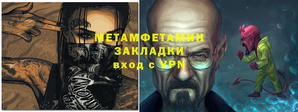 прущие грибы Новодвинск