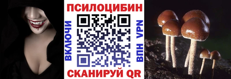 кракен рабочий сайт  Катав-Ивановск  Псилоцибиновые грибы Psilocybe 